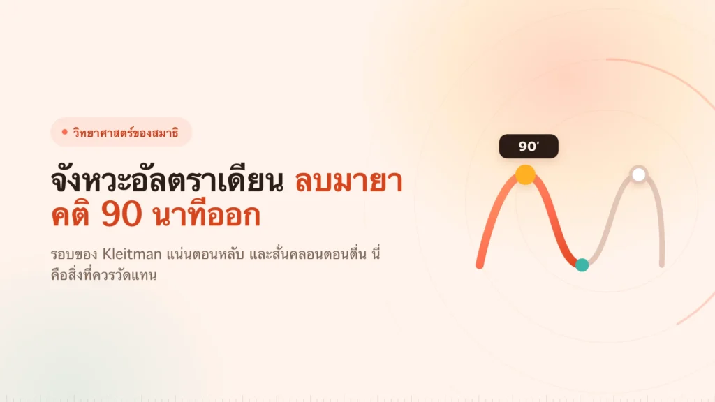 จังหวะอัลตราเดียน: เลข 90 นาทีตั้งอยู่บนอะไร