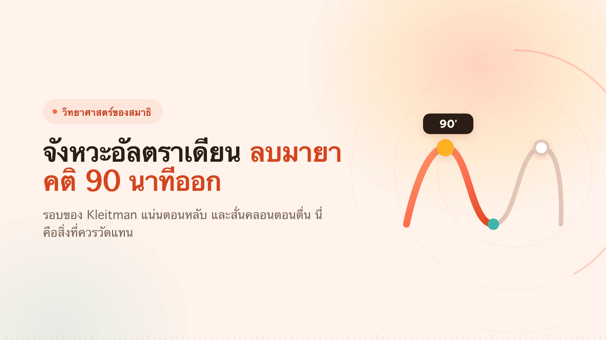 จังหวะอัลตราเดียน: เลข 90 นาทีตั้งอยู่บนอะไร