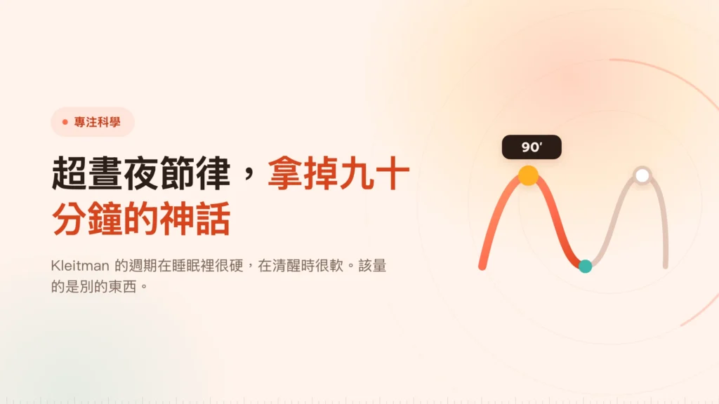 超晝夜節律：九十分鐘區塊靠的是什麼