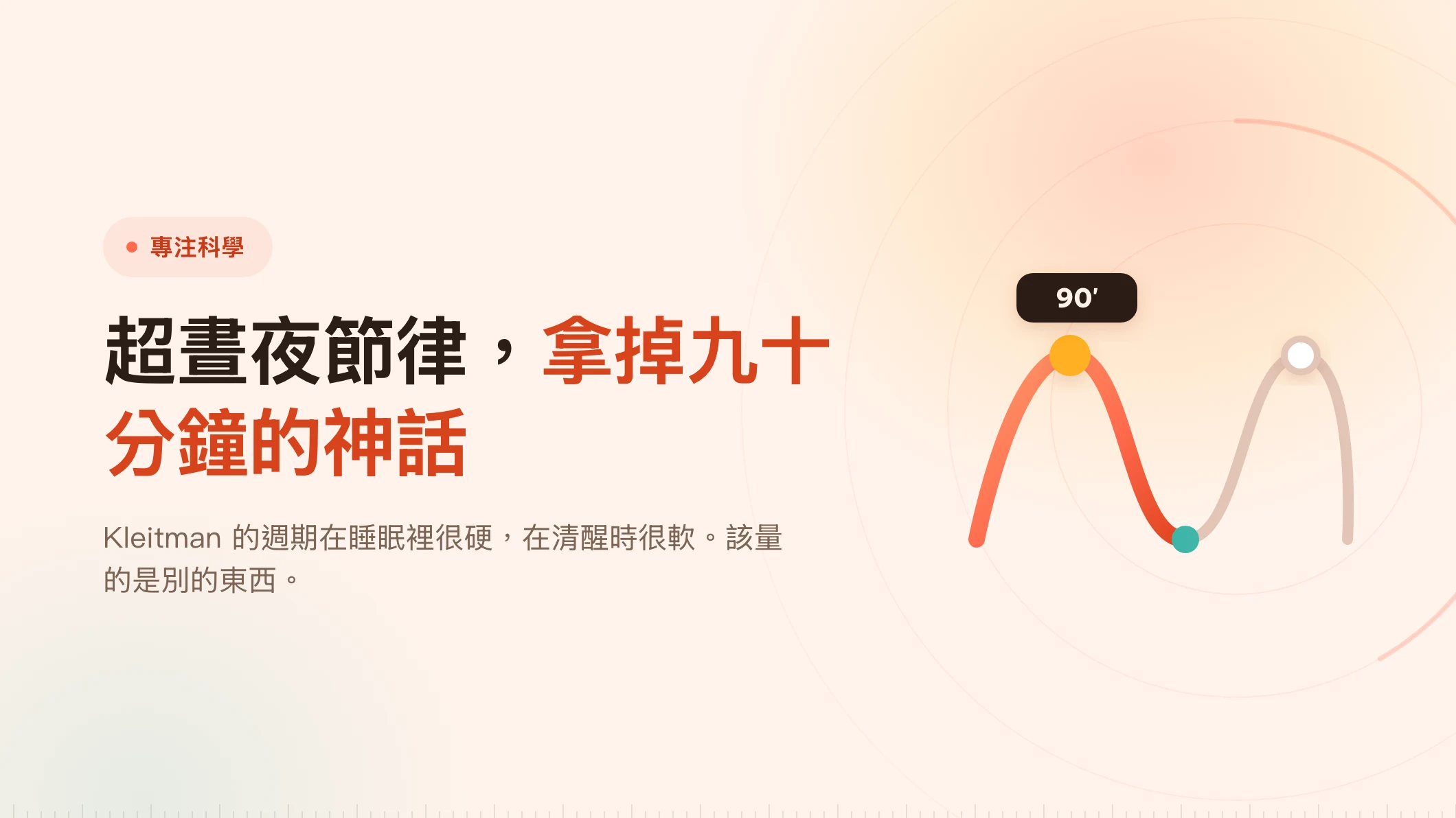 超晝夜節律：九十分鐘區塊靠的是什麼