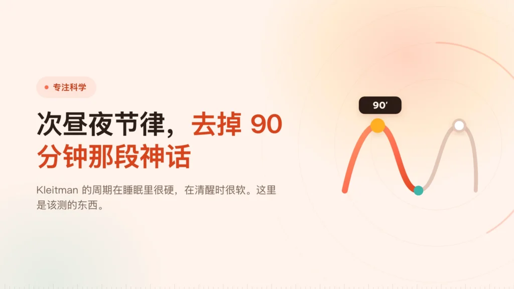 次昼夜节律：90 分钟的块靠什么撑着