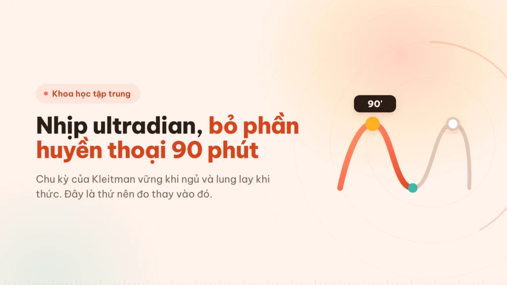 Nhịp ultradian: khối 90 phút dựa trên cái gì