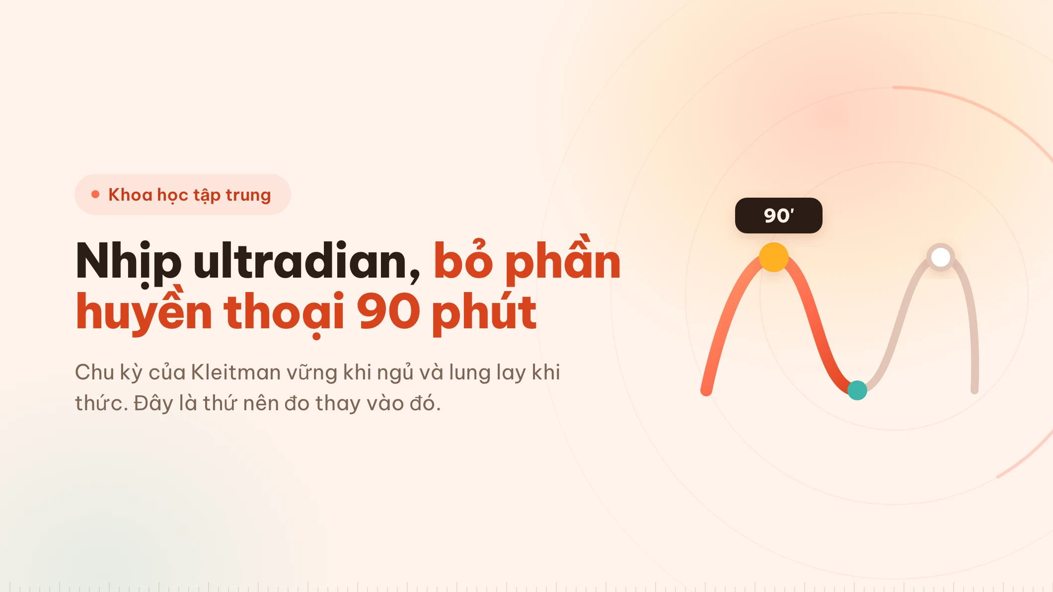 Nhịp ultradian: khối 90 phút dựa trên cái gì