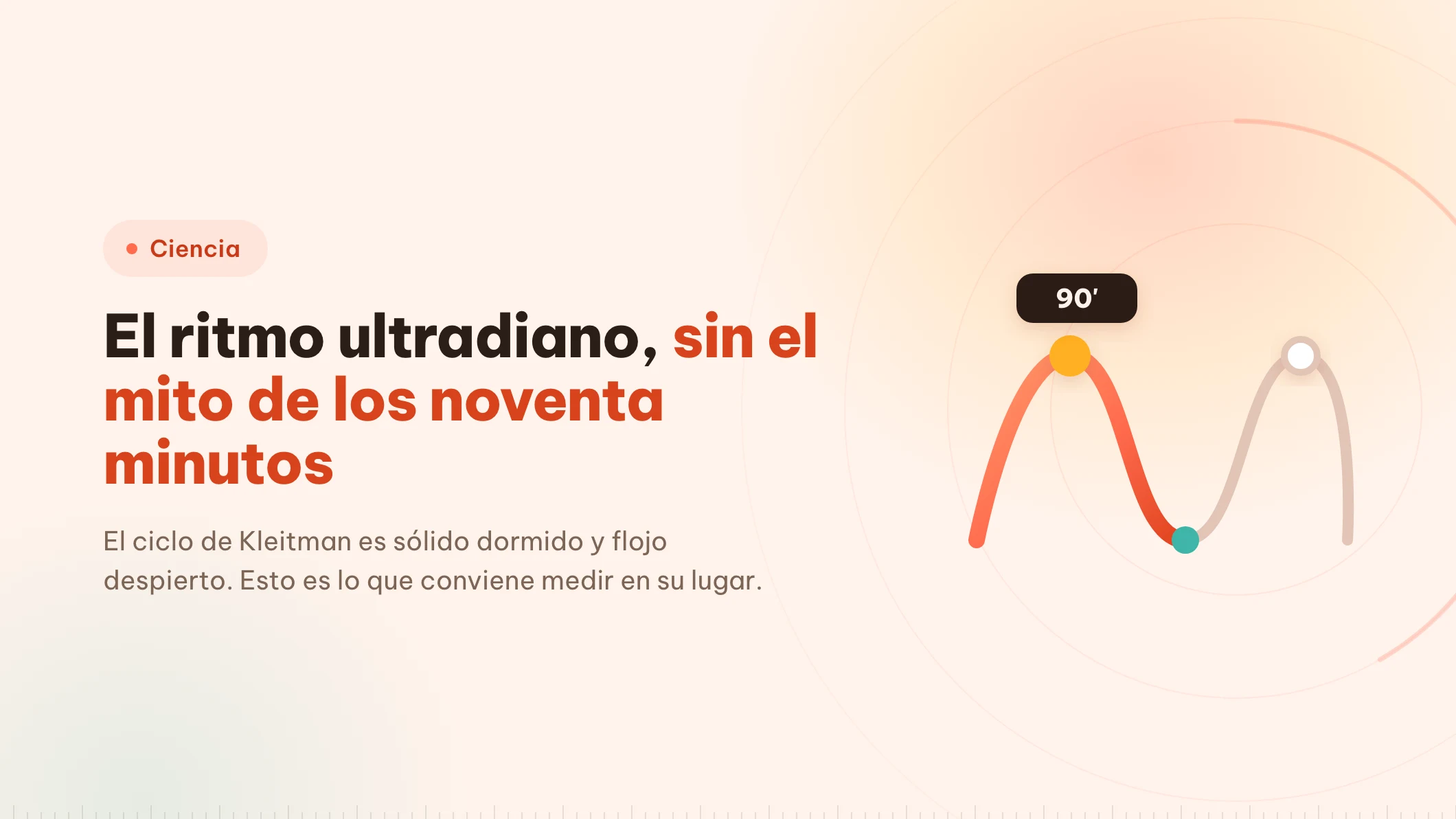 Ritmo ultradiano: sobre qué se apoya el bloque de 90