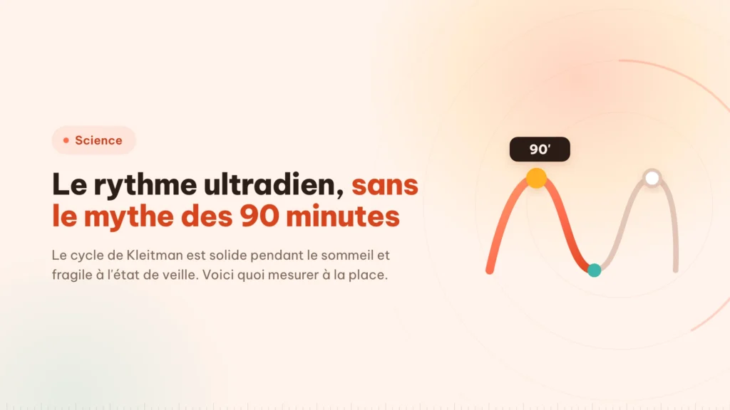 Rythme ultradien : sur quoi repose le bloc de 90 minutes