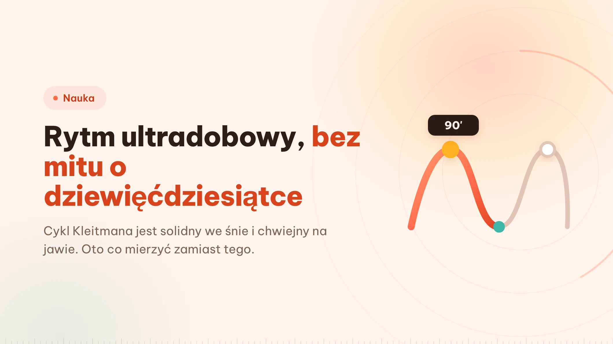 Rytm ultradobowy: na czym stoi blok dziewięćdziesięciu minut