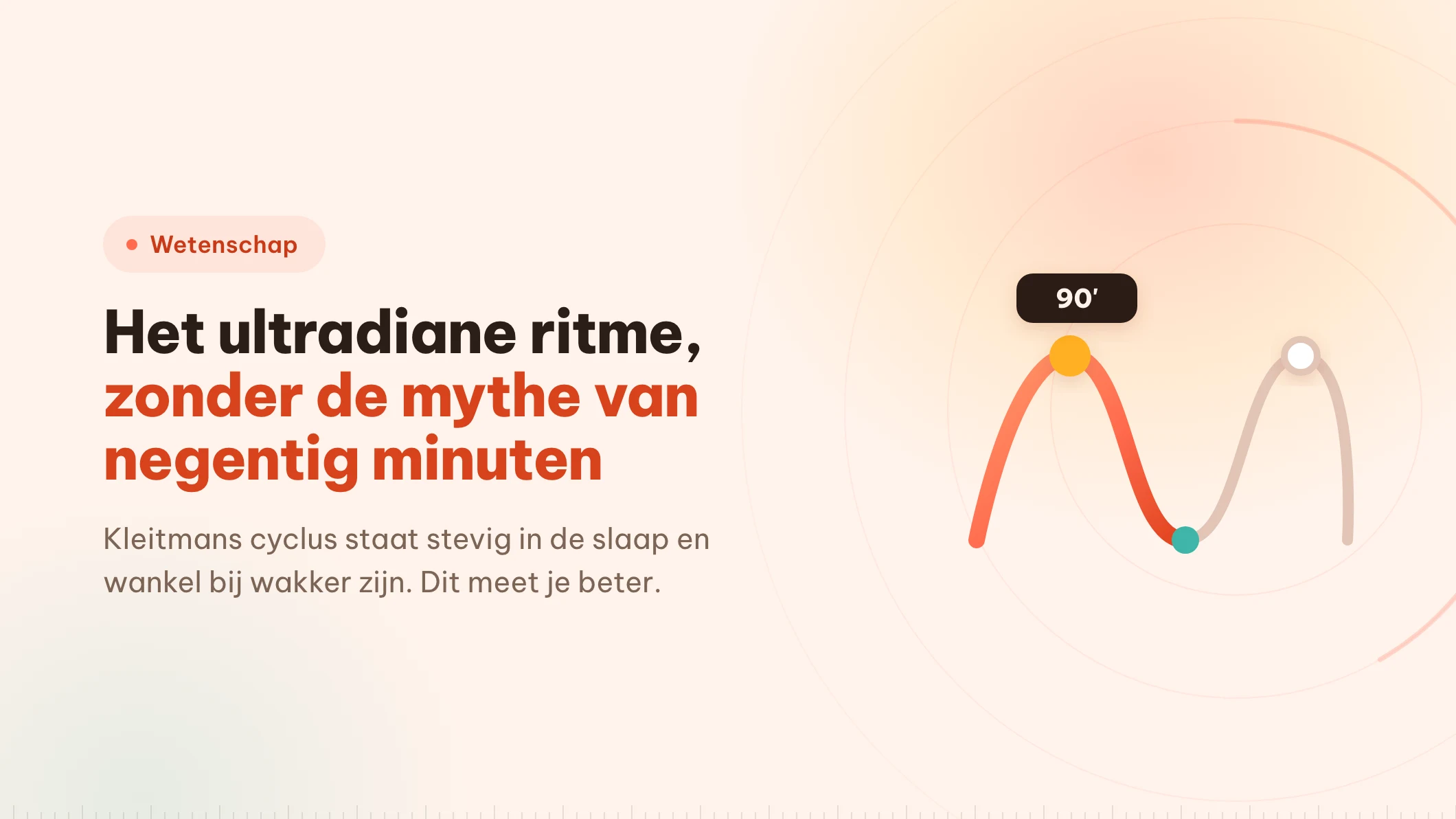 Ultradiaan ritme: waar het blok van 90 minuten op rust