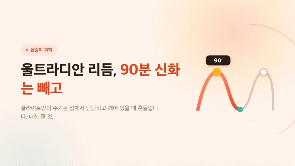 울트라디안 리듬: 90분 블록이 딛고 선 것