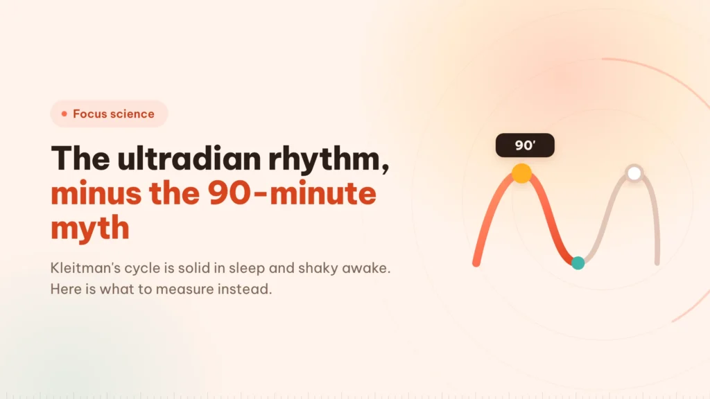 Ultradian rhythm: what the 90-minute block rests on