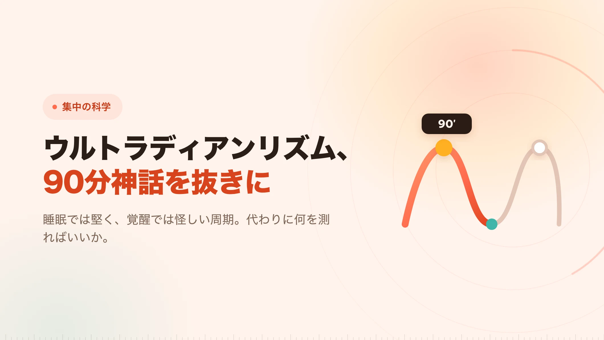 ウルトラディアンリズム：90分ブロックの土台を見る
