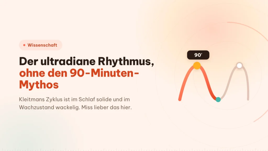 Ultradianer Rhythmus: was der 90-Minuten-Block hergibt