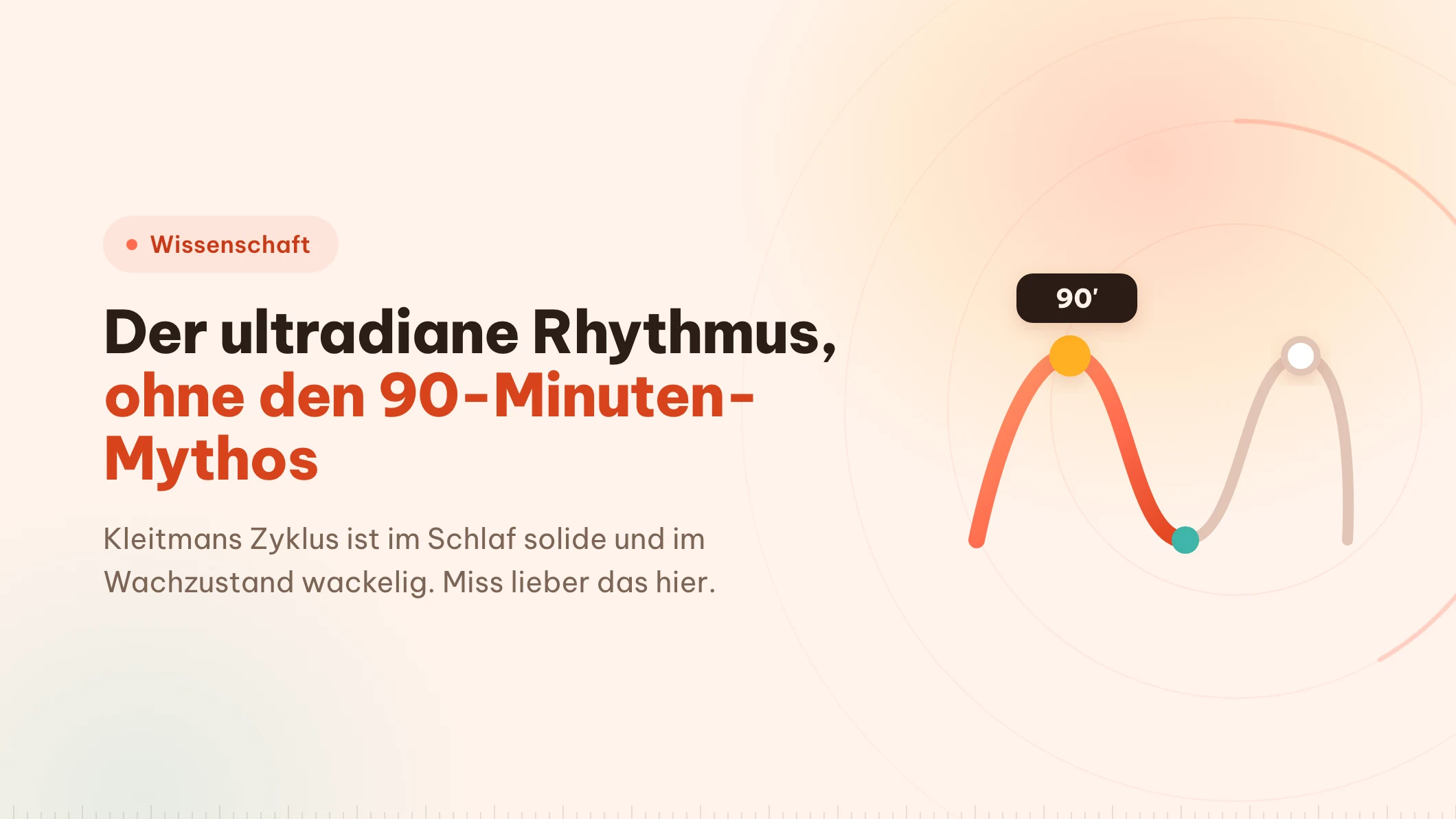 Ultradianer Rhythmus: was der 90-Minuten-Block hergibt