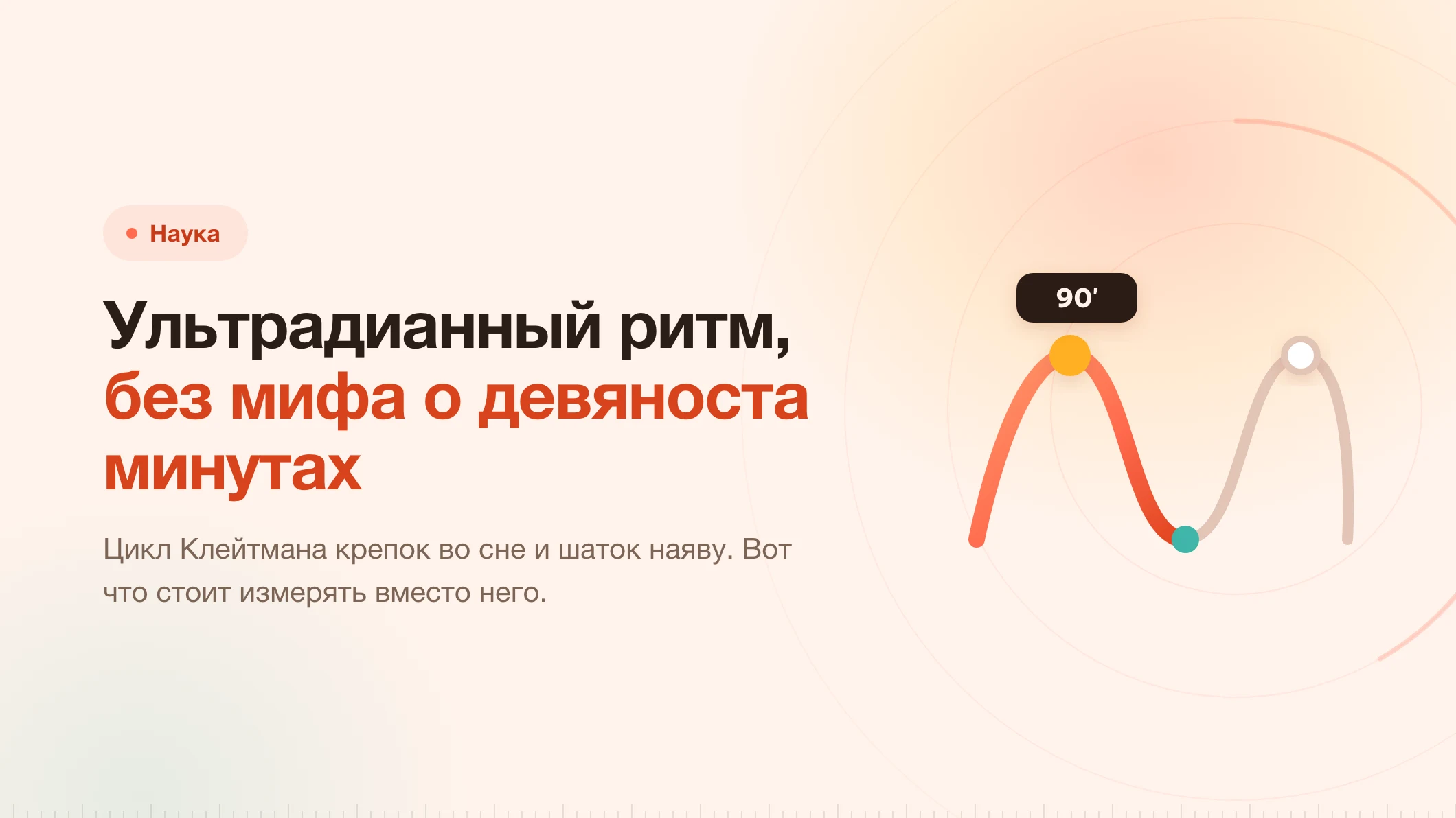 Ультрадианный ритм: на чём стоит блок в девяносто минут