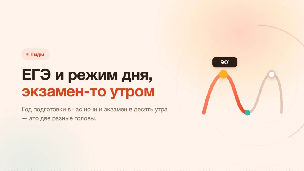 ЕГЭ и режим дня: экзамен идёт утром, а ты готовишься ночью